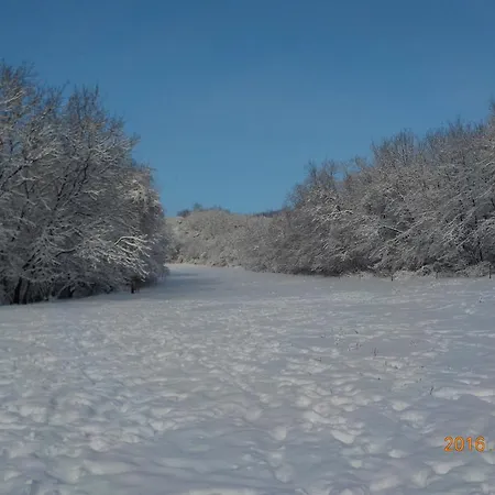 Nocleg ze śniadaniem Naspolya Panzio Es Etterem Bátaapáti