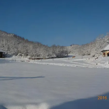 Naspolya Panzio Es Etterem Bátaapáti