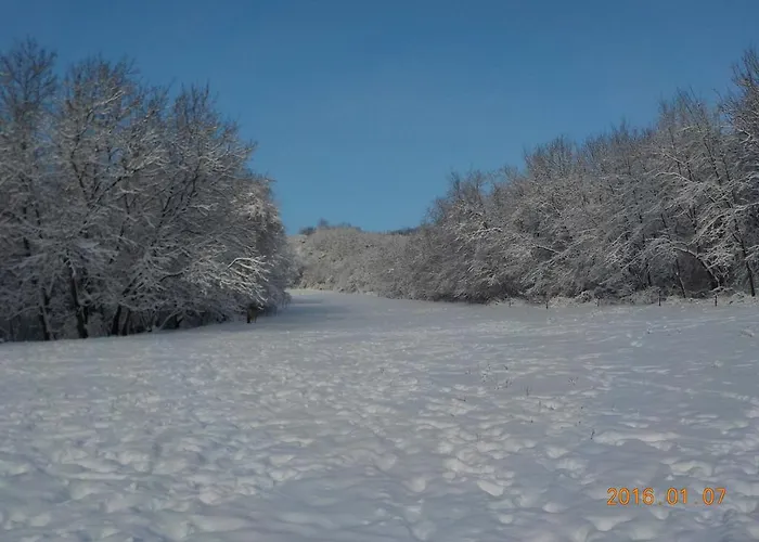 B&B Naspolya Panzio Es Etterem Bátaapáti